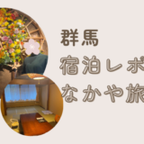 【宿泊レポ】生後6カ月の温泉デビュー！赤ちゃん連れに優しい「天空の湯 なかや旅館」